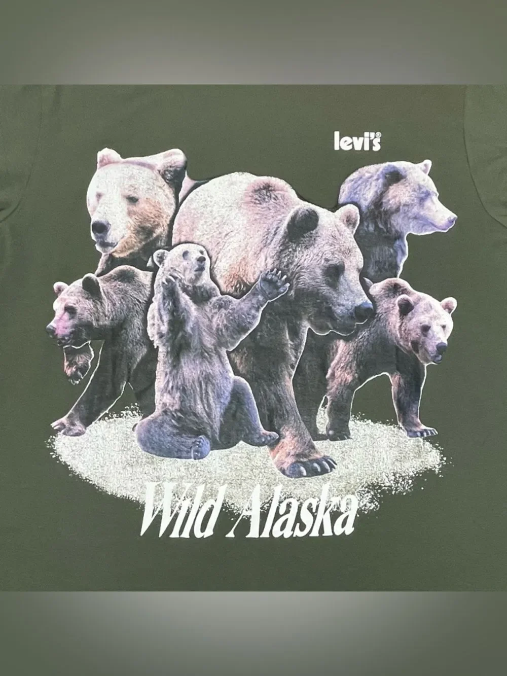 Levi's | NWOT Green Wild Alaska Bear Graphic Relaxed Tee | L